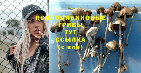 марки nbome Аркадак