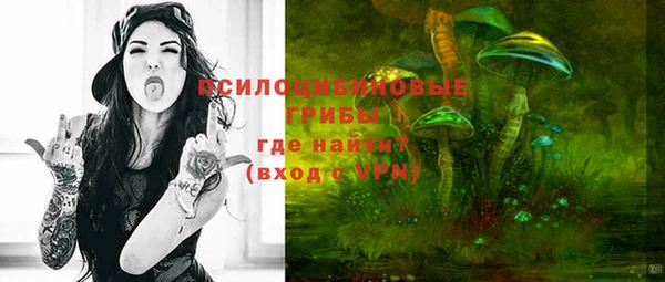 дмт Армянск