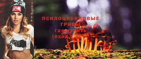 jwh Арсеньев