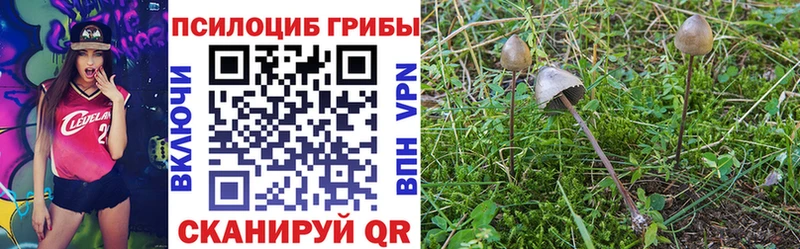 Галлюциногенные грибы мухоморы  купить  цена  Джанкой 